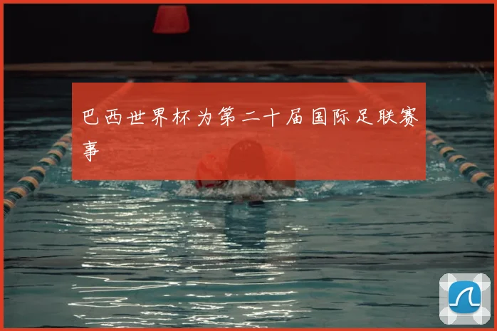 巴西世界杯为第二十届国际足联赛事