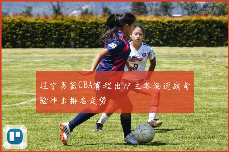 辽宁男篮CBA赛程出炉主客场连战考验冲击排名走势