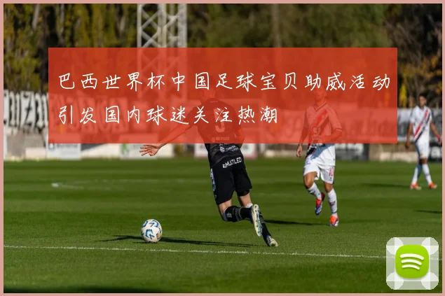 巴西世界杯中国足球宝贝助威活动引发国内球迷关注热潮